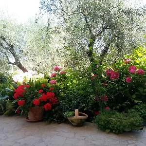 Vecchio Casale Margherita Bed & Breakfast